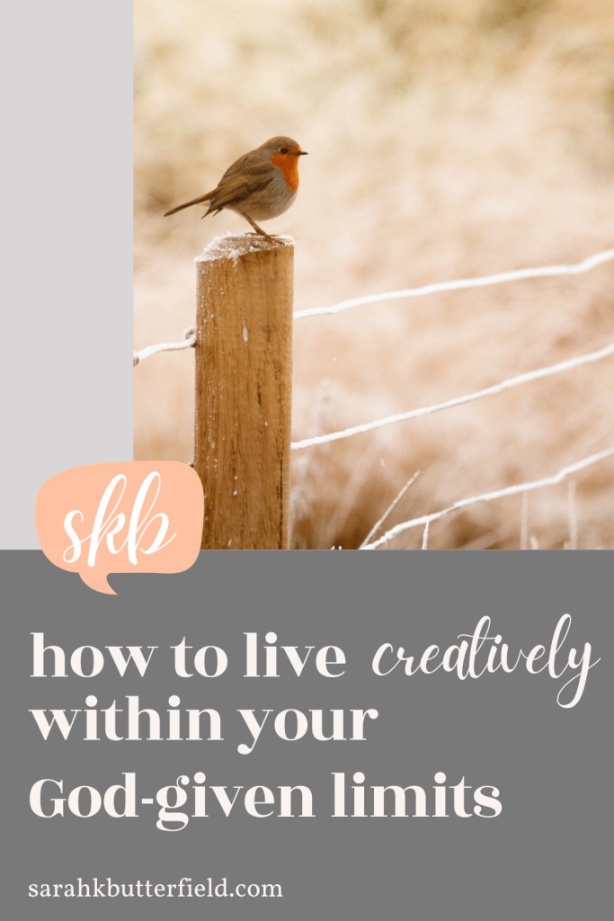 how to live creatively within your God-given limits