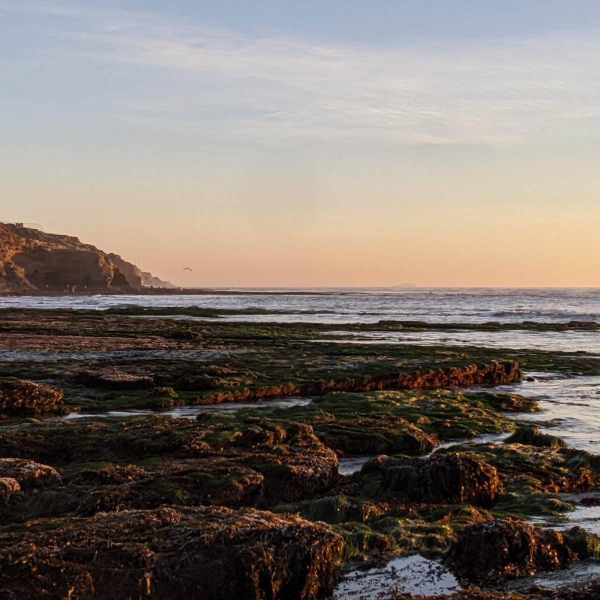 Steal Back Your Focus This Holiday&nbsp;Season