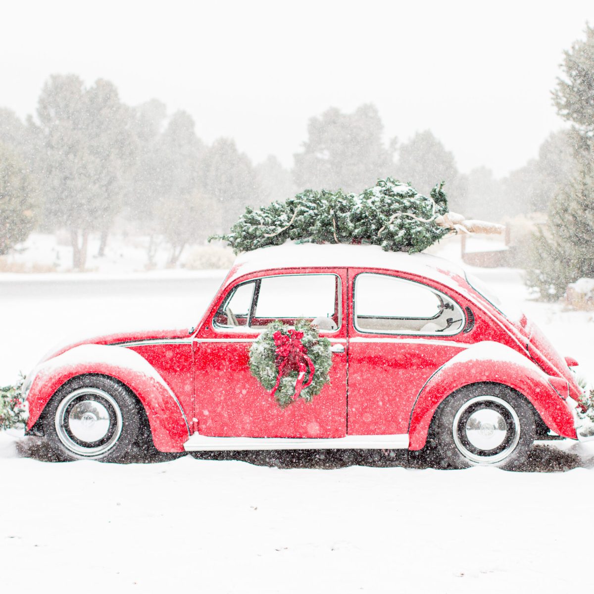 What Now? Living the Story of&nbsp;Christmas